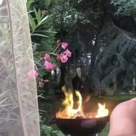 In Complex Anita B2 סאני ביץ'